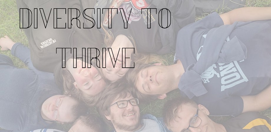 People lying on grass with text 'Diversity to Thrive' over the top