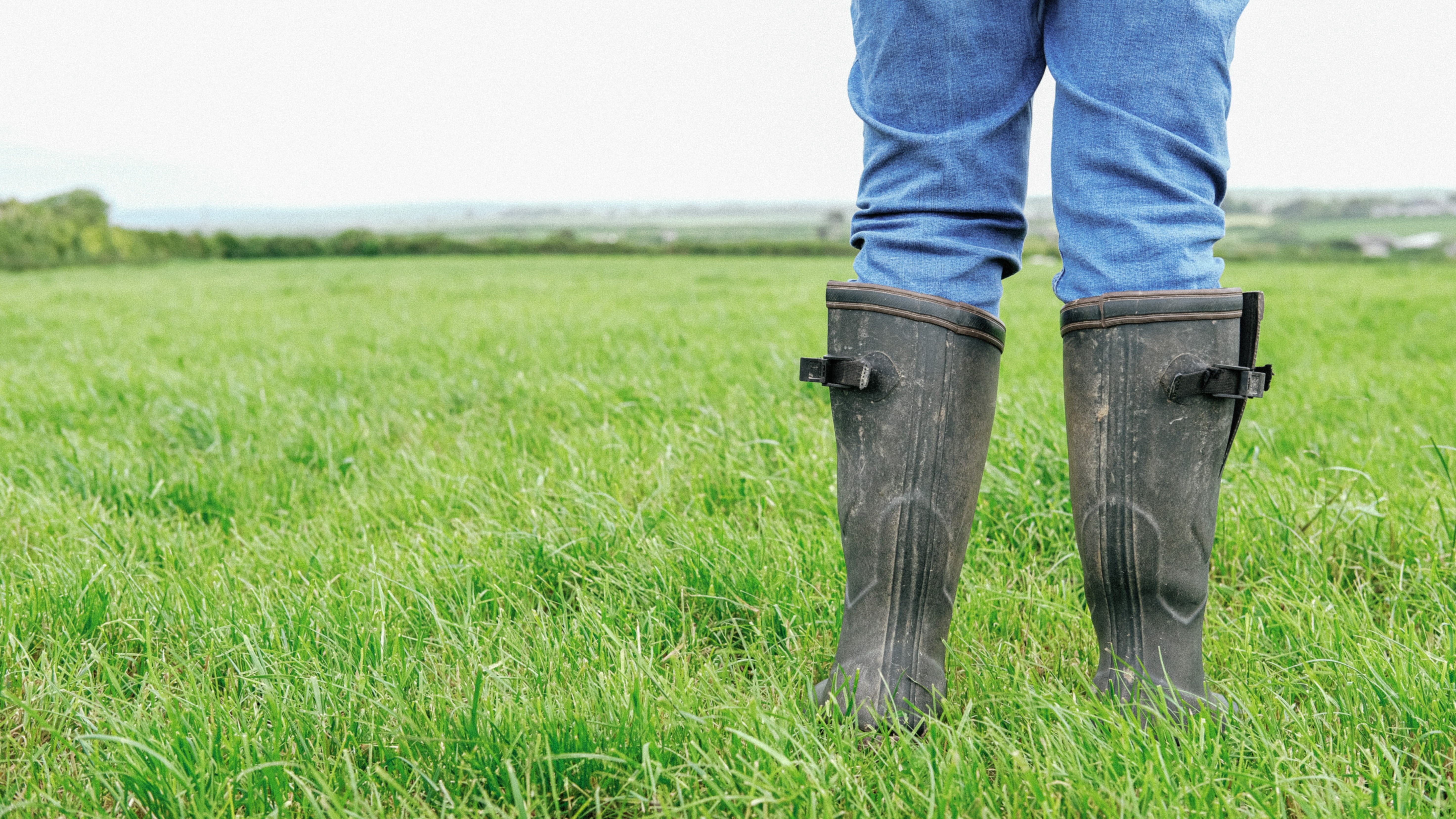 Person's legs wearing wellie boots in a field 