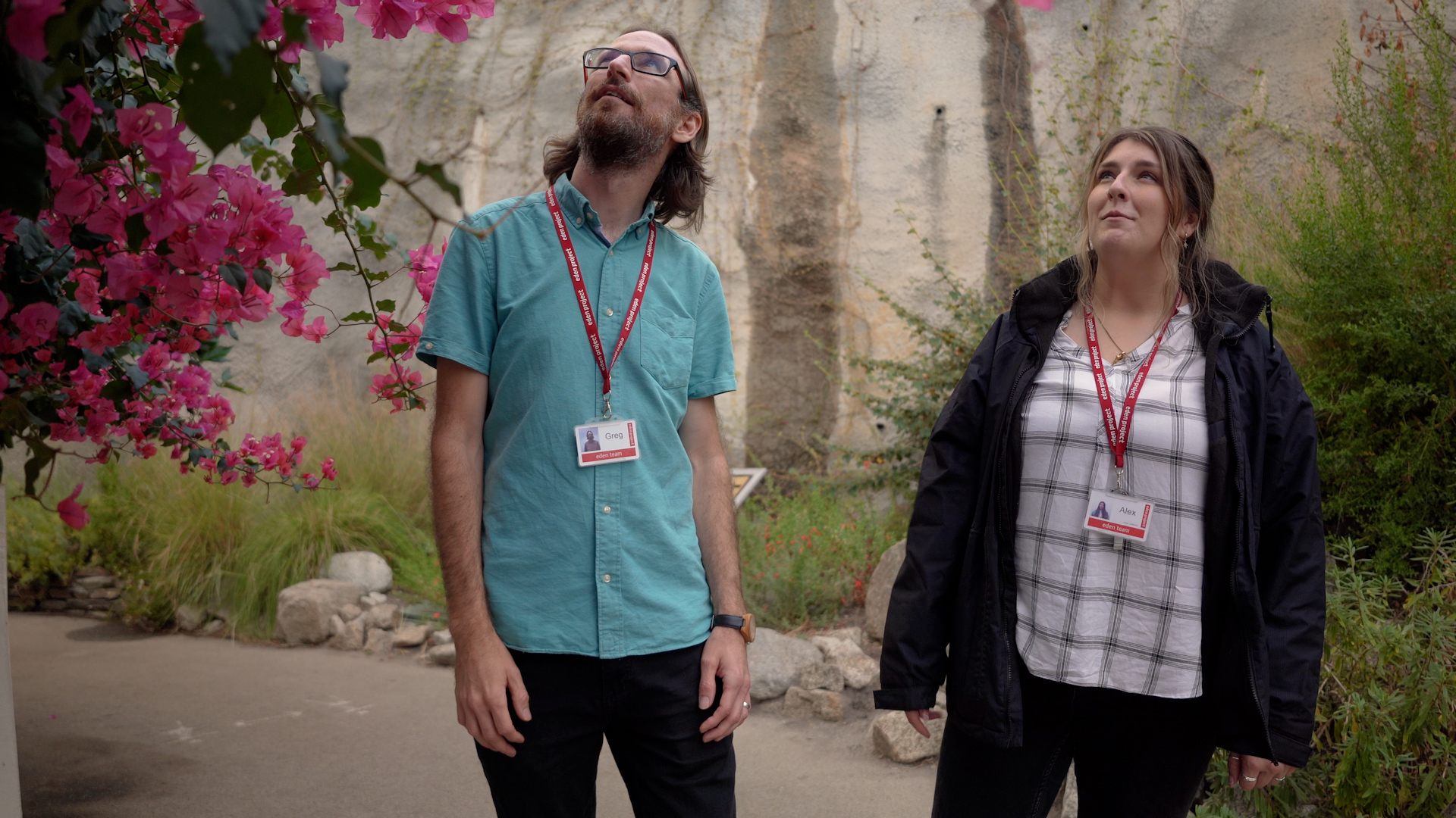 Two people in the Eden Project Biome looking up at a plant