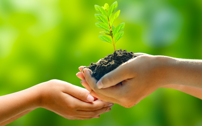 Green leaders 